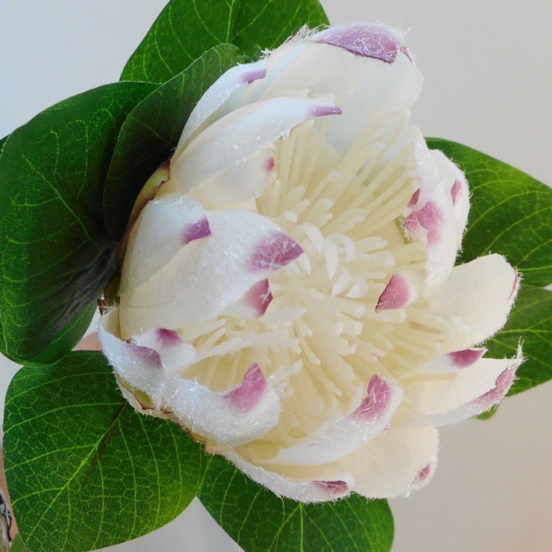 Artificial King Protea White 65cm Artificial Flowers